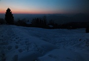 Salita pomeridiana al MONTE SUCHELLO (1541 m.) ben innevato da Costa Serina l 25 gennaio 2013  - FOTOGALLERY